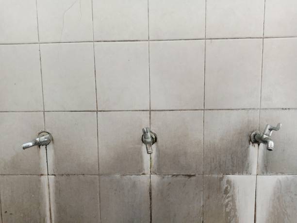 Best Sewage cleanup and water damage restoration  in Apple Mountain Lake, VA