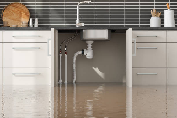 Best Water damage contractors near me  in Apple Mountain Lake, VA