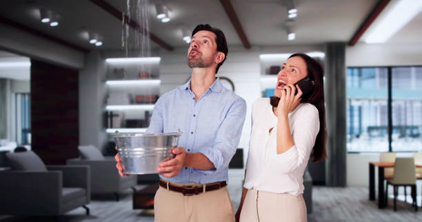 Best Professional water damage repair  in Apple Mountain Lake, VA