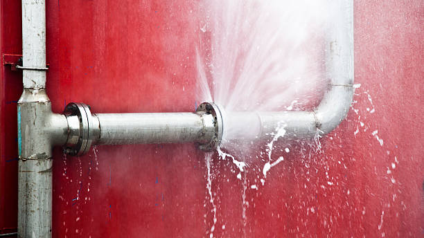 Best Carpet water damage restoration  in Apple Mountain Lake, VA