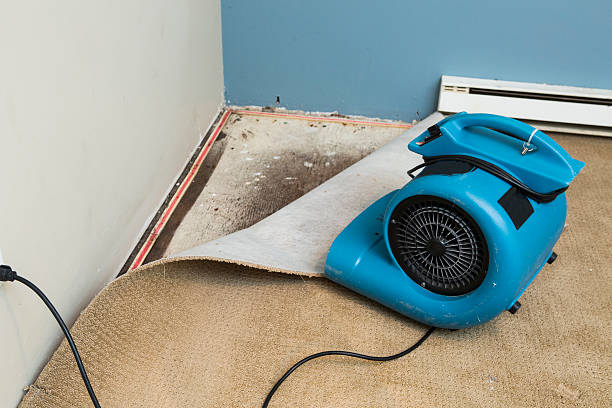 Best Emergency water damage restoration  in Apple Mountain Lake, VA