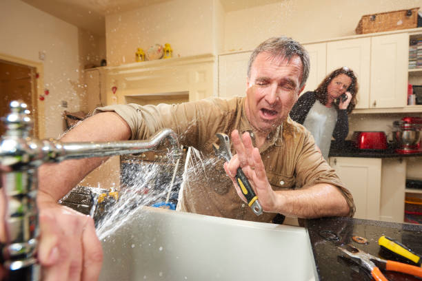 Best Mold removal after water damage  in Apple Mountain Lake, VA